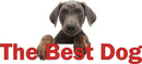 THE BEST DOG